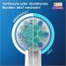 Oral-B Kids Star Wars Electric Toothbrush Attachments - 8 Extra Soft Bristle Brushes for Ages 3+ | Mailbox-Compatible Packaging - Buy Online on GoSupps.com