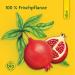 Schoenenberger Pomegranate Mother Juice - Organic 600ml (3x200ml Glass Bottles) - Dietary Supplement with 1.7% Polyphenol - Natural Clean Juice - Buy Online on GoSupps.com