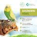 Vogelgaleria Cork Seating Board for Birds - Wellensing 20x10 cm | Ideal Cage Accessory & Toy for Nymphic & Parrots - Buy Online on GoSupps.com