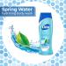 Dial Spring Water Body Wash 21 fl oz - Pack of 4, Unscented - Buy Online on GoSupps.com