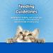 Blue Buffalo Bursts Crunchy Cat Treats Chicken 12oz - Premium Feline Snack - Buy Online on GoSupps.com
