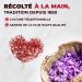 Selected ground saffron - Natural spice for paellas - Spanish saffron without artificial colors - Pure saffron in capsules - - Buy Online on GoSupps.com