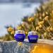 L'OCCITANE Immortelle Precious Overnight Mask 50ml | Blue Light Protection Mask for All Skin Types - Buy Online on GoSupps.com