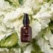 True Botanicals CLEAR Repair Nightly Treatment Serum | Non-Toxic Cruelty-Free Anti-Aging Serum | Hyaluronic Acid for Blemishes & Wrinkles | MADE Safe - 1 fl oz | International Shipping Available - Buy Online on GoSupps.com