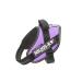 Julius-K9 Baby Boys IDC Powerharness Dog Harness Purple XS/Mini-Mini