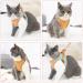 Eyein Cat Harness and Lead Set for Walking - Adjustable Escape Proof Kitten Vest Harness with Reflective Strip - Green & Orange - Medium Size - Buy Online on GoSupps.com