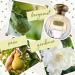 Tocca Beauty Eau de Parfum Viaggio Trio (Cleopatra Stella Florence) 0.15 Fl Oz (Pack of 1) - Buy Online on GoSupps.com