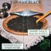 Yunnan Black Premium Loose Leaf Tea - 100g - Buy Online on GoSupps.com