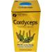 FINE JAPAN Cordyceps Capsules - 120 Count for Energy, Immune Support & Optimal Health - Buy Online on GoSupps.com