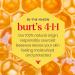 Burt's Bees Tinted Lip Balm Hibiscus - 0.15 Ounce (2 Count) | Natural Moisturizing Lip Care | International Shipping Available - Buy Online on GoSupps.com