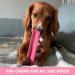 Floppy Ear Himalayan Yak Chews for Dogs - 100% Natural Yak Milk Dog Chew Rich in Protein & Calcium Long Lasting Chews Provides Healthy Teeth & Gums | Strawberry Flavour 3 Medium Chews strawberry medium size 60-80g (3 chews) - Buy Online on GoSupps.com