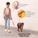 Vitazoo 3m Nylon Dog Leash - Adjustable Guide Lines with Carabiners for All Dog Sizes - Graphite & Red - Buy Online on GoSupps.com