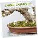 INOOMP Pet Water Feeder Water Feeding Cup for Ants Nest Ants Water Feeding Supply Clear Ants Feeder Plastic - Buy Online on GoSupps.com