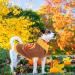 HUMLANJ Thanksgiving Knitted Dog Turtleneck Sweater - Warm Turkey Pullover for Puppy - Leash Hole - Small-Medium Sizes - Buy Online on GoSupps.com