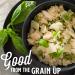 Organic Lundberg Traditional Italian Risotto Alfredo - 20 Minute Cook Time (5.5 oz 6-Pack) - Buy Online on GoSupps.com