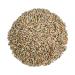 100% Organic Rye Berries, Non-GMO, Kosher, Raw, Bulk Seeds, Product of the USA (10 lbs) 10 Pound (Pack of 1)