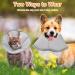 Adjustable Elizabethan Collar for Pets | Dndgdlua Protective E-Collar for Kittens Puppies & Rabbits | Prevents Licking & Biting - Size S Gray - Buy Online on GoSupps.com