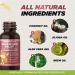 BUDDY'S BEST Ringworm Relief Spot-On Treatment for Dogs & Cats: Natural Fast-Acting Formula with Jojoba & Neem Oil Soothes & Heals Skin Easy Application 50ml - Buy Online on GoSupps.com