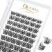 Eyelashes cluster quewel individual eyelashes single cluster lashes 72stck.D curl Mix8-16 eyelash segments wide foundation Individual eyelashes for eyes make-up DIY eyelash extensions (qu20-d-mix8-16) 1 piece (1-pack) Qu20-D mix 8-16mm