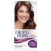 Clairol Nice'n Easy No Ammonia Hair Dye 96 Lightest Golden Brown 96 Lightest Golden Brown 1 Count (Pack of 1)