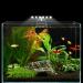 WEAVERBIRD Fish Tank Clip on Light Model-X3 Libra Aquarium Lights 6W 12 LEDs Planted Lamp for 6mm Thick Fish Tanks - Buy Online on GoSupps.com
