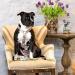 Max & Molly H-Harness - Exotique | Stylish & Comfortable Harness for Dogs | International Shipping Available - Buy Online on GoSupps.com
