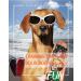 High-Frequency Todremou Dog Whistle & Clicker Set - R tter Dog Training Tools | International Shipping Available - Buy Online on GoSupps.com