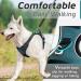 Eagloo Large Dog Harness - Adjustable Anti-Train Control Harness with Reflex Strips for Labs & Large Dogs - Dark Green - XL (1 Pack) - Buy Online on GoSupps.com