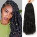 Passion twist hair 6 packs 18-inch braids Extensions faux Locs crochet hair yddm synthetic hair extensions Passion twist crochet braids hair (1b# 6packs economy package) 1b# 6Packs-and