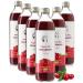 Jus de canneberge sauvage bio 100% pur press froid sans sucre ni eau ajout s 6 bouteilles en verre de 500 ml
