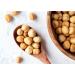 1lb Dry Roasted Blanched Hazelnuts with Himalayan Salt - Keto & Vegan Snack, Whole Filberts, Oil-Free - Bulk Purchase for Baking, Rich in Essential Fatty Acids - Buy Online on GoSupps.com
