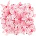 40Pcs Edible Butterfly Cupcake Toppers 3D Edible Butterfly Cake Topper Pink Butterfly Cupcake Decoration Picks Wedding Baby Shower Party Wedding Anniversary Birthday Party Cupcake Decoration 40pcs-pink - Buy Online on GoSupps.com