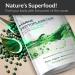 SuperFoodISM Marine Phytoplankton Supplement Superfood Rich in Omega-3 and Essential Nutrients (250 Tablets) - Buy Online on GoSupps.com
