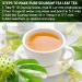 Lavendium 120+ Premium Soursop Graviola Dried Leaves 120-140 Natural Leaves Whole Soursop Leaves Wildcrafted Graviola Soursop Hoja Guanabana Soursop Loose Leaf Herbal Tea No Gluten Vegan Soursop Leaves 120 Bags - Buy Online on GoSupps.com