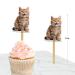 Seyal Cat CupCake Topper - Buy Online on GoSupps.com
