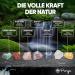 Puraja GroÃe Wasserstein Mixture | Premium Healing Stones Set | 300g Natural Gemstones for Water Treatment | Boost Your Wellness with 7 Popular Stones - Buy Online on GoSupps.com