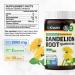 Dandelion Root Gummies - Vegan Digestive Support & Detox - 2000 mg Strength - Gelatin-Free - 60 Count - Buy Online on GoSupps.com