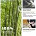 Curved Bamboo Back Scratchers for Men and Women - Heavy-Duty Handle - Best Gift for Anyone Needing Longer Reach - Buy Online on GoSupps.com