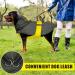 Shop Mosucoirl Waterproof Dog Coat with Hood - Reflective Windproof Rain Jacket for Small & Medium Dogs | 2XL Green - Buy Online on GoSupps.com