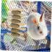 Happyyami Pet Chew Snack Guinea Pig Chewing Playthings Hamster Biting Playthings - Buy Online on GoSupps.com