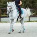 HORZE Horse Bridle Sion - English Noseband & Reins for Thoroughbred - Brown Color - International Shipping Available - Buy Online on GoSupps.com