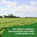 Knorr Cheddar Broccoli Rice 5.7 oz - No Artificial Flavors or Preservatives, Tasty Side Dish - Buy Online on GoSupps.com