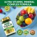 VITAMINFATE TUDCA Liver Support Supplement 2500mg - 120 Capsules High Potency Tauroursodeoxycholic Acid Bile Salts for Detox & Cleanse - Promotes Healthy Bile Flow & Digestion - Buy Online on GoSupps.com