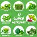 Applied Nutrition Critical Greens - Super Greens Powder | Boost Immune System | Superfood Nutrients | Vegan | Lemon & Lime 150g - 30 Servings - Buy Online on GoSupps.com