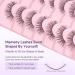 Shop Natural Cat Eye False Eyelashes - 13mm Wispy Soft Strip Lashes - 7 Pairs C Curl - EVENTILL Starlit N-29 - Buy Online on GoSupps.com
