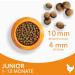 IAMS Junior Dry Cat Food with Chicken for Kittens (1-12 Months) - 1.5 kg Pack | Premium Nutrition for Healthy Growth - Buy Online on GoSupps.com