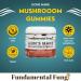 Fundamental Fungi Organic Lion's Mane Mushroom Gummies | 90 Servings | Brain Health Focus Clarity & Memory Mushroom Supplement Gummies | 90 Organic Lions Mane Gummys for Adults - Buy Online on GoSupps.com
