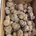 1pc Natural raw Crystals Minerals Specimen Quartz Desert Rose Rough Gemstone ERBDRGAZ - Buy Online on GoSupps.com