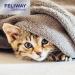 FELIWAY Optimum 30 Day Starter Kit - Calms Cats Better Than Ever - Helps with More Signs of Cat Stress in More Situations (incl. FELIWAY Cat Diffuser LMH19 & 1 x Refill D921) - Buy Online on GoSupps.com