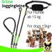 Elastic Reflective Jogging Leash - 120 cm with Adjustable Hip Strap & Bag for Hands-Free Walking Hiking & Running - Up to 200 cm Stretch - Buy Online on GoSupps.com